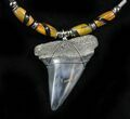 Fossil Mako Shark Tooth Necklace #27073-1